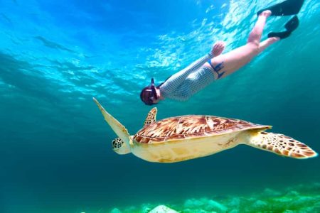 Snorkeling in Marsa Mubarak and explore the underwater world