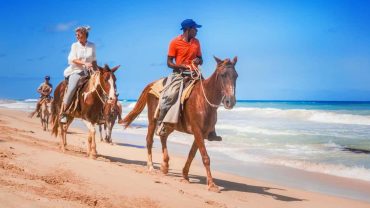 Horse riding in Hurghada is a relaxing and memorable experience that lets you explore the beauty of the Red Sea coast and the surrounding desert on horseback