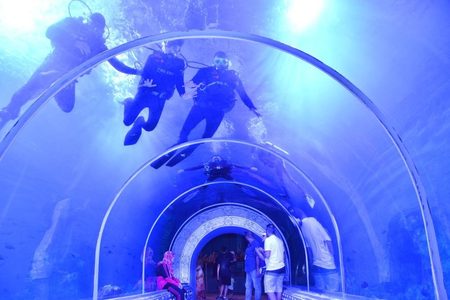 Scuba divers swimming above a curved glass tunnel at the Grand Aquarium in Hurghada while visitors walk below