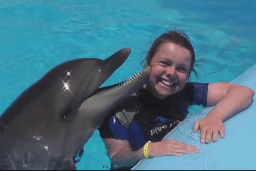 Laughing woman in a wetsuit at the pool edge as a dolphin touches her cheek with its snout