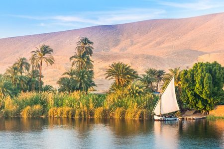 Felucca with a white sail on the Nile at golden hour, with palm trees and a sunlit desert hill behind