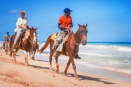 Riders on horseback walking along a sandy beach beside turquoise sea with breaking waves