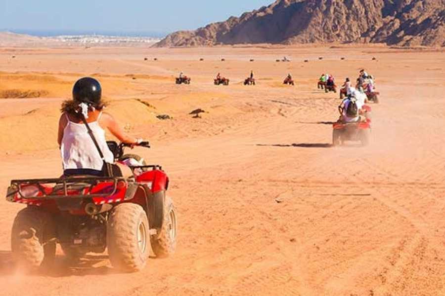 Tourists riding quad bikes in a convoy across the desert with rocky mountains in the distance