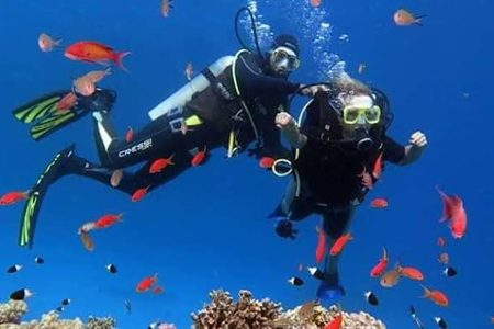 Two scuba divers swimming above a coral reef among schools of orange reef fish