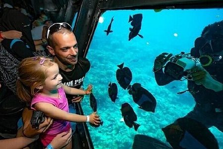 A man and a young girl watching reef fish through a semi-submarine's underwater window, with a diver outside
