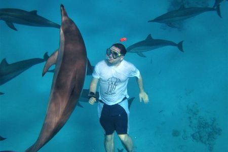 Snorkeler in a white T-shirt surrounded by a pod of dolphins in deep blue water at Dolphin House