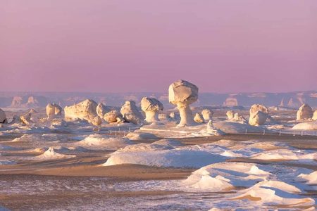 White chalk mushroom rock formations in the White Desert under a soft pink sky