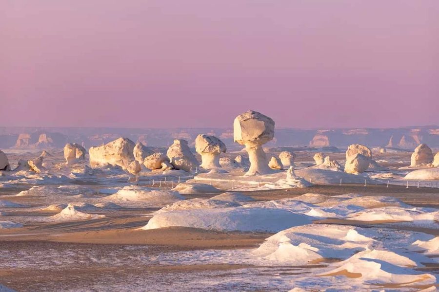 White chalk mushroom rock formations in the White Desert under a soft pink sky