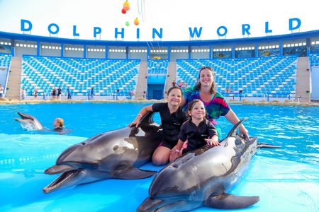 A woman and two girls pose with two dolphins on a shallow pool platform in front of an arena with blue seating