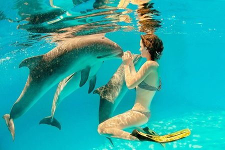 Woman in a striped bikini and yellow fins underwater, face to face with dolphins in clear turquoise water